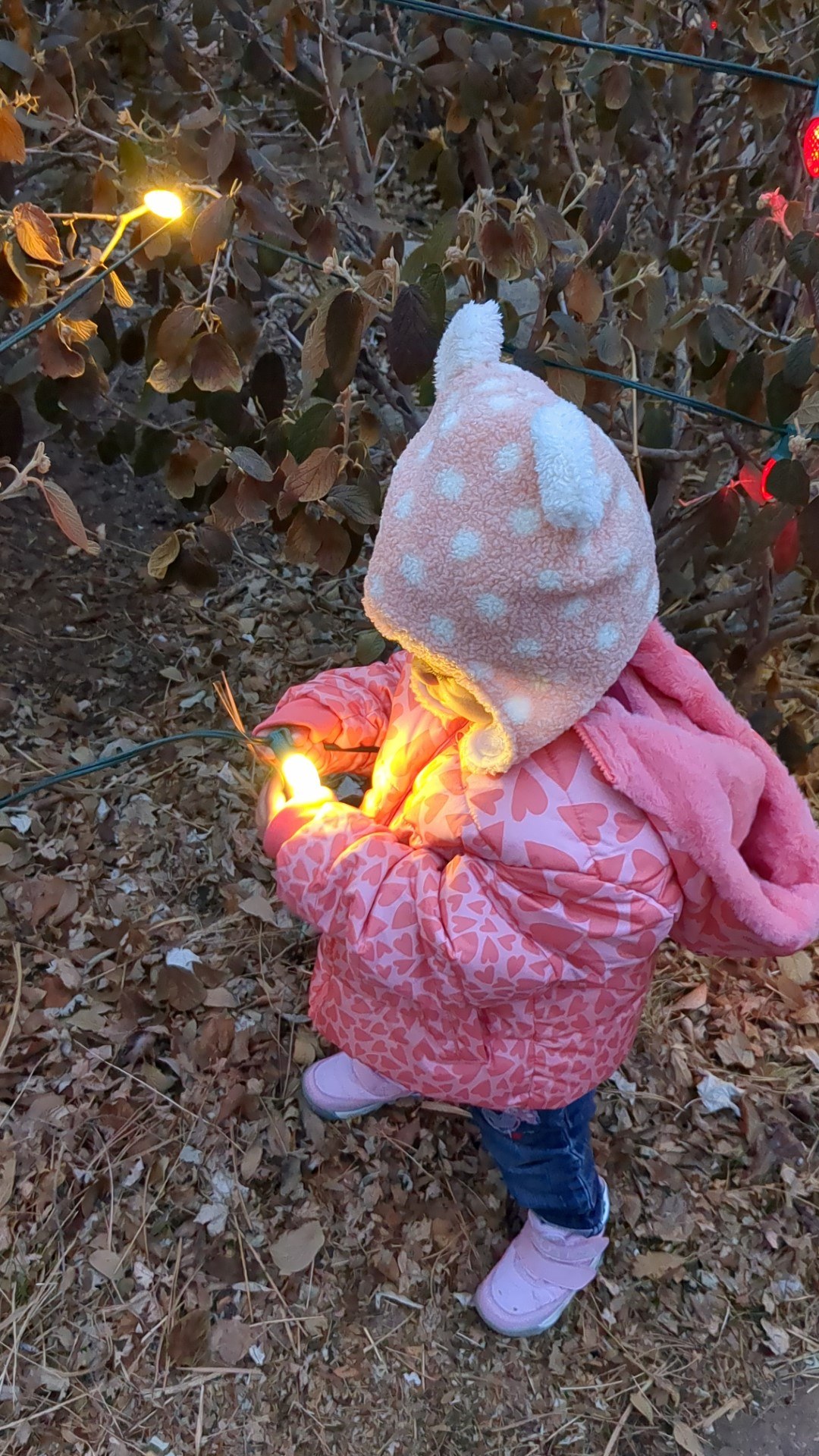 toddler stands outside holding a tiny glowing light